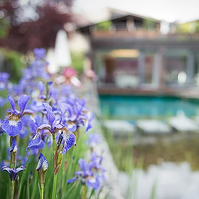 Workation zwischen Berg und See Im @hotelmoserhof verbindest du produktives Arbeiten mit echter Lebensqualität.