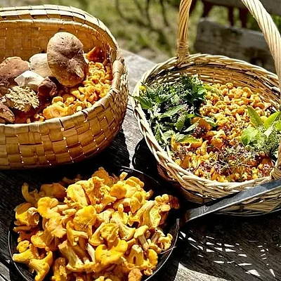 ‍LEBE Wald Genuss Wenn der Herbst die Wälder rund um den Millstätter See in warme Farben taucht, beginnt eine der genussvollsten Jahreszeiten. 𝐕𝐨𝐧 𝟏𝟖. 𝐛𝐢𝐬 𝟐𝟎.