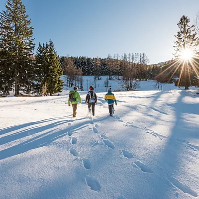 Mit unserem Paket „Lebe Winter Spaß“ erwartet euch eine Winterwanderung zum Naturjuwel Egelsee mit Einkehr, bei Kaffee und Kuchen im Gasthof Lug ins Land während ihr abends im Hotel den Tag in...