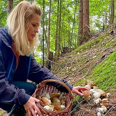 ‍LEBE Wald Genuss Wenn der Herbst die Wälder rund um den Millstätter See in warme Farben taucht, beginnt eine der genussvollsten Jahreszeiten. 𝐕𝐨𝐧 𝟏𝟖. 𝐛𝐢𝐬 𝟐𝟎.